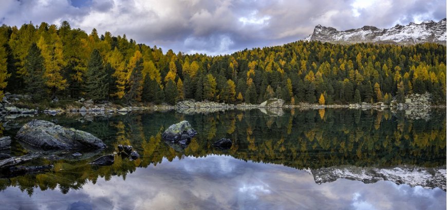 森林 湖泊自然美景壁纸