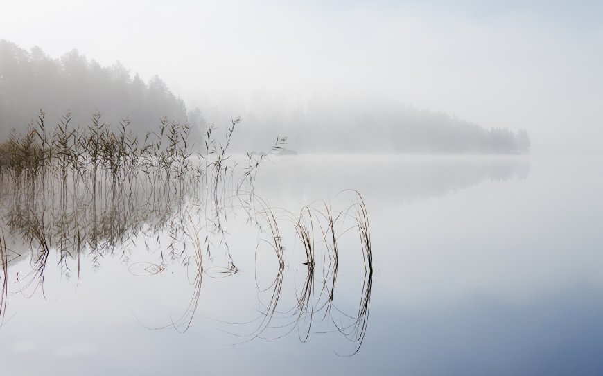 宁静的湖泊 芦苇自然风景壁纸