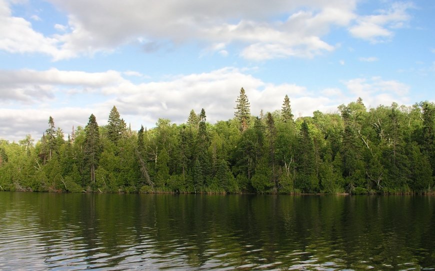 湖泊树林美景壁纸图片