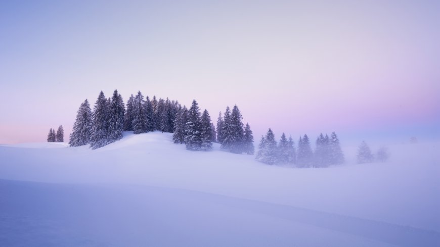 茫茫白雪笼罩山林风景壁纸