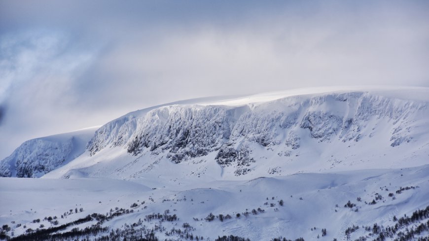 被大雪覆盖的森林和山脉4K风景超清壁纸