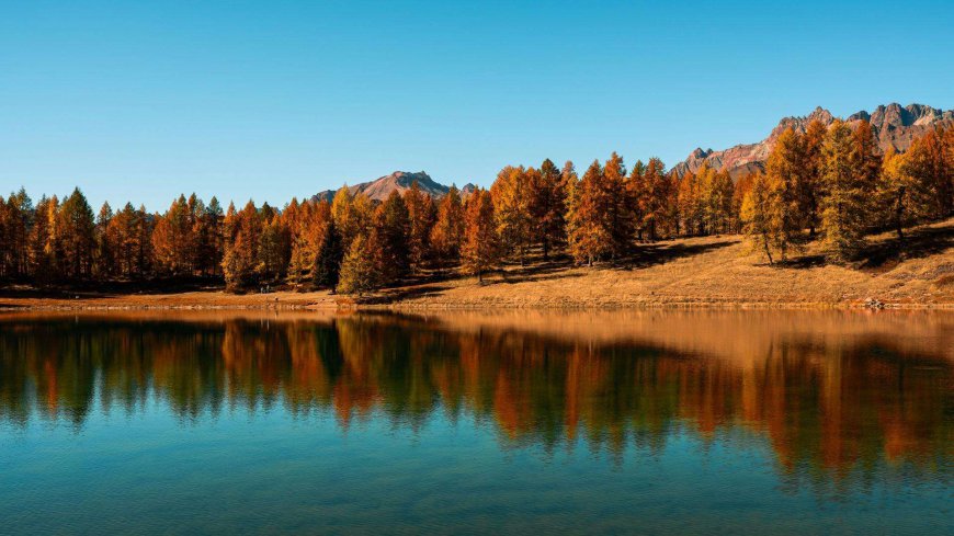 秋季枫叶边的美丽湖泊高清壁纸