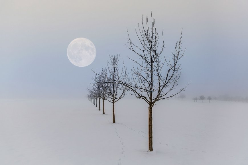 雪地 圆月风景图片壁纸