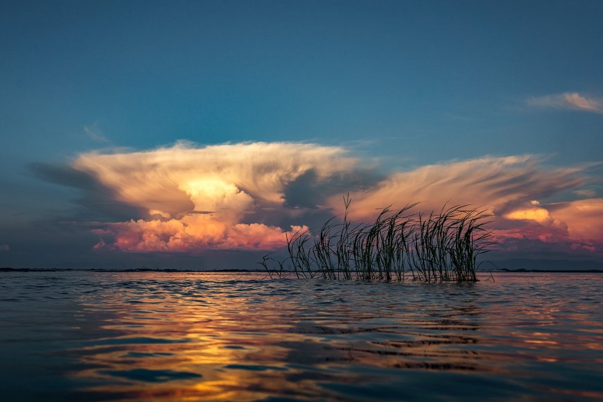 湖泊水草夕阳云彩风景图片壁纸