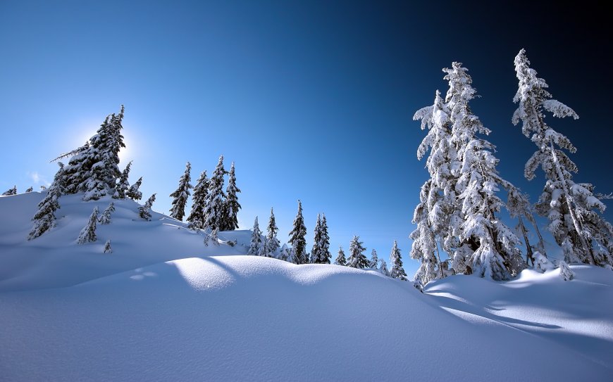 白雪覆盖的山林美景图片壁纸