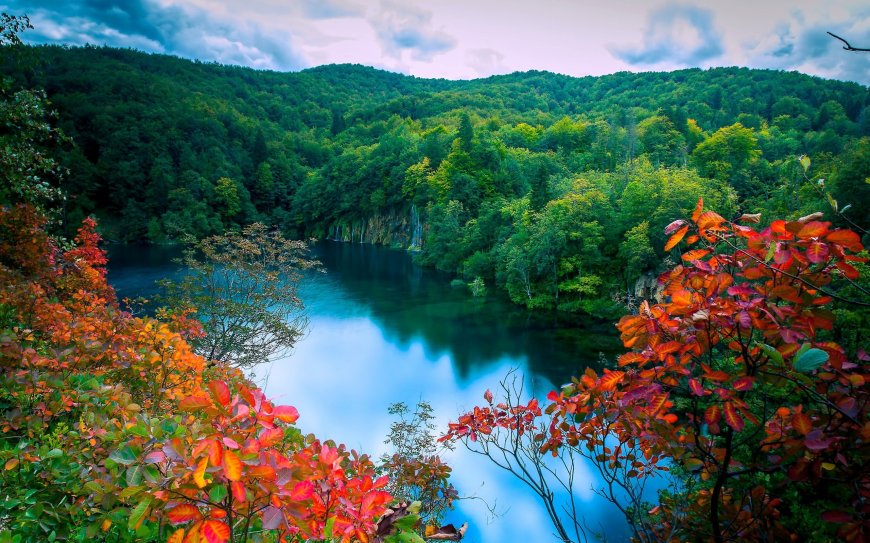 绿叶森林湖泊自然美景壁纸图片
