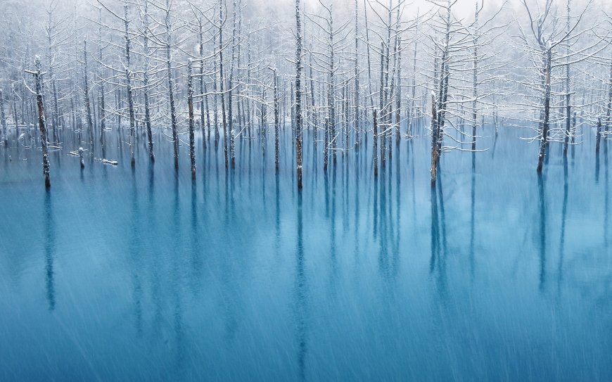 冬季湖面树林图片壁纸