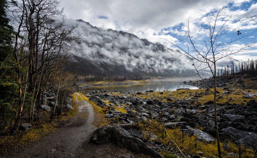 云雾山林风景壁纸图片