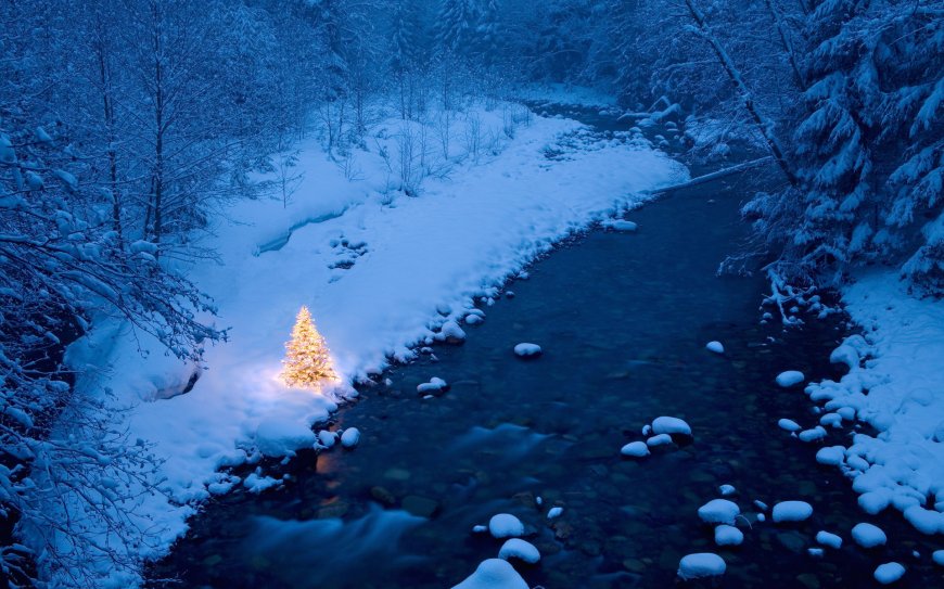 冬季白雪覆盖的森林河流圣诞树风景图片壁纸