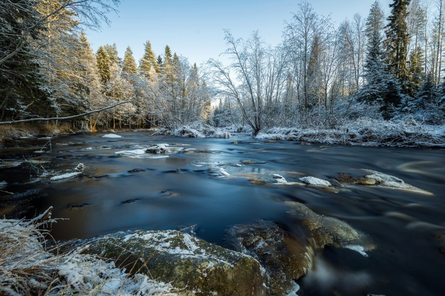 冬季森林河流风景壁纸图片