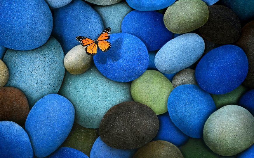 斑蝶 彩色石头创意图片壁纸