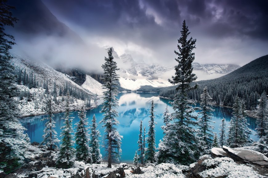 白雪皑皑 冰封的森林湖泊风景壁纸图片
