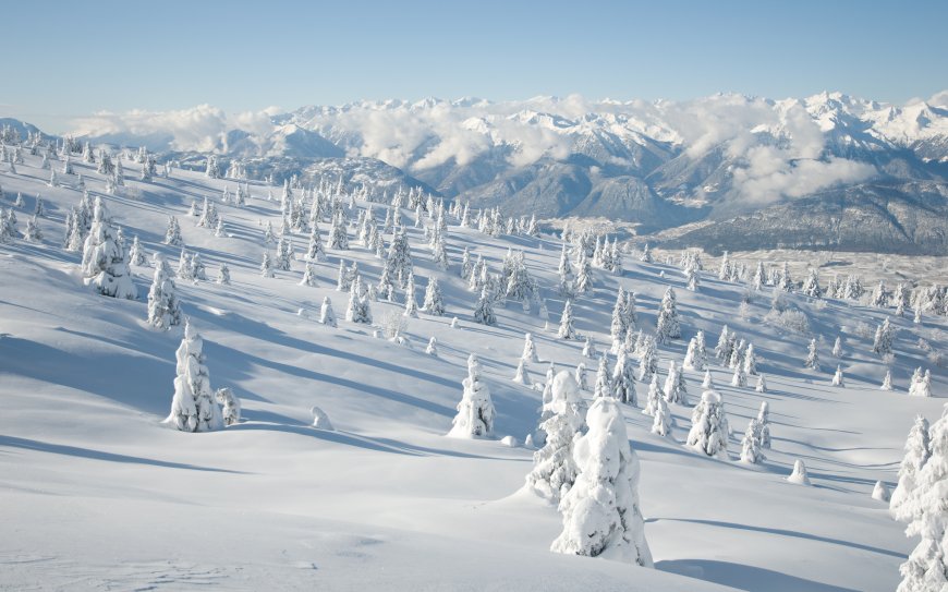 白雪覆盖的森林 雪山风景图片壁纸