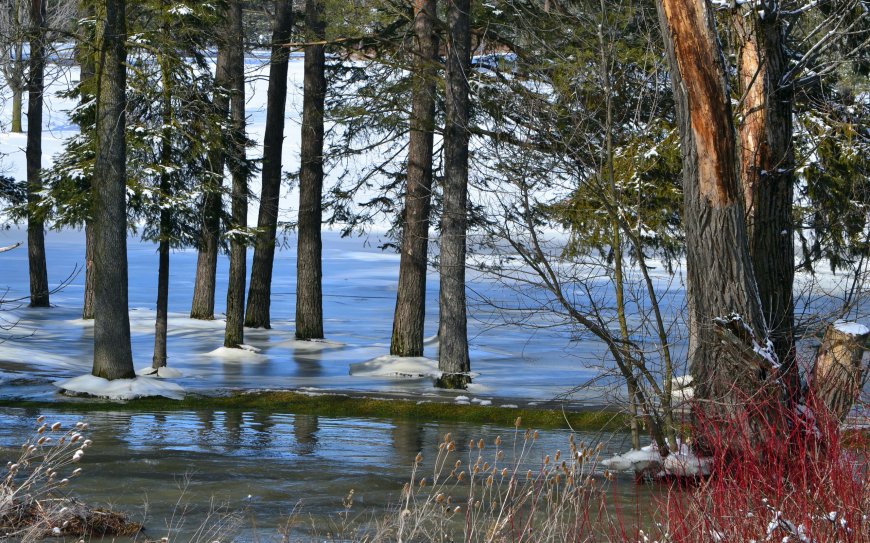 森林河流 冰面风景壁纸