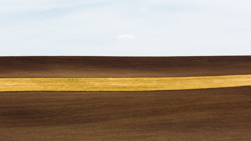 辽阔田野风景图片壁纸