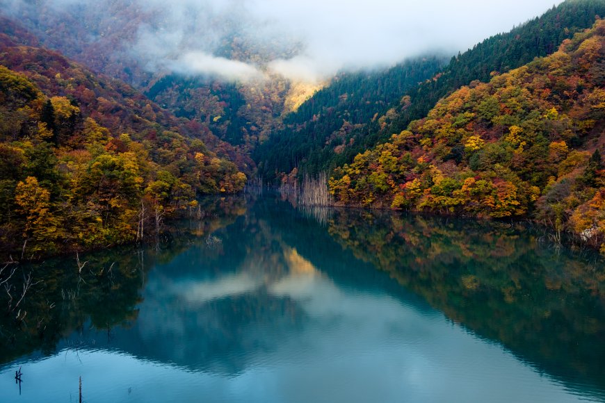 深秋的密林 湖泊风景壁纸