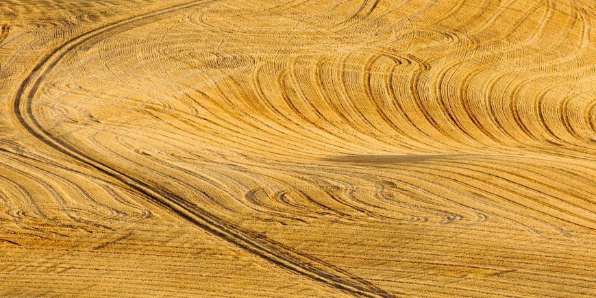 金黄麦田风景图片壁纸