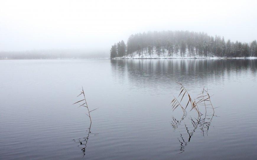 寂静的湖泊 森林风景图片壁纸