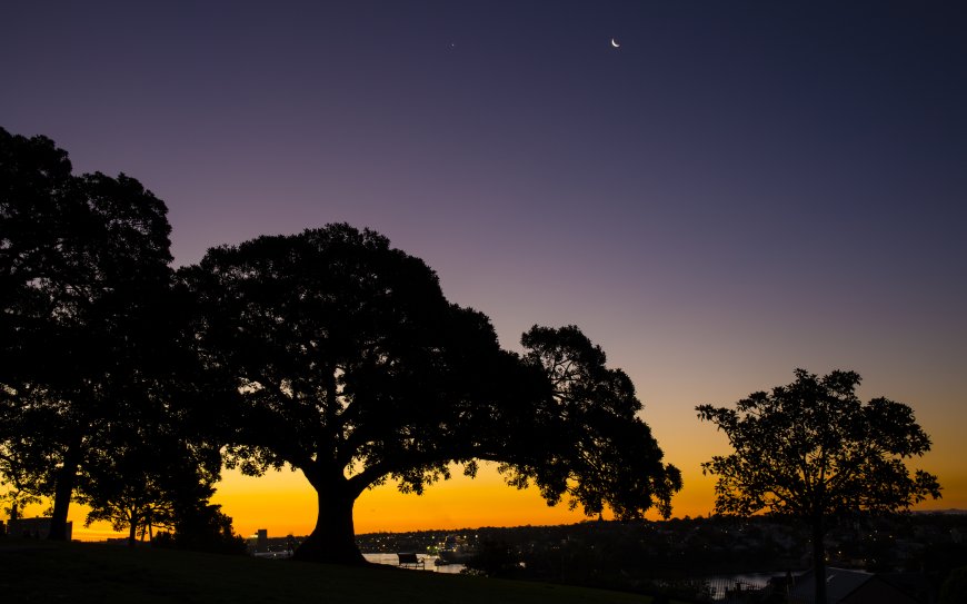 月下村庄古树夕阳风景壁纸