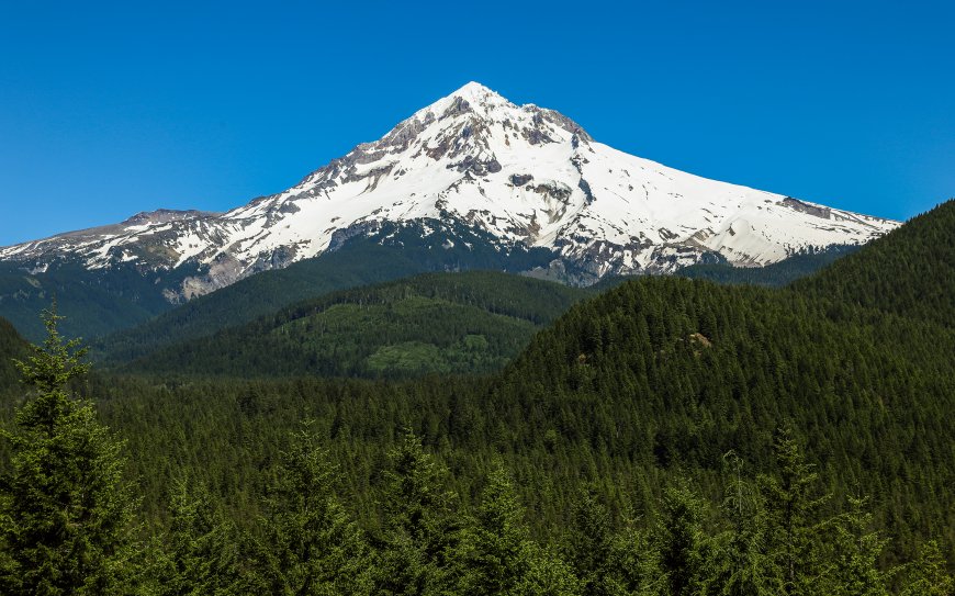 蓝天 雪山 森林自然风景壁纸
