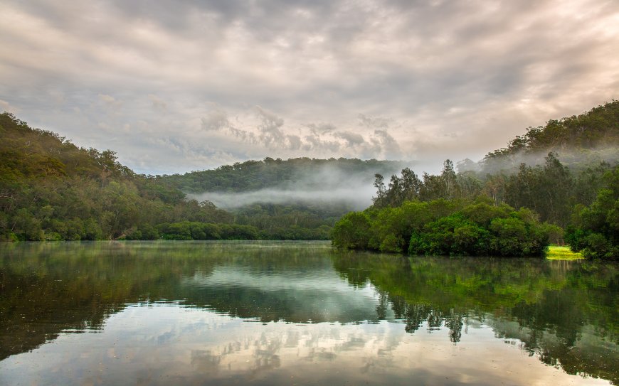 寂静河流 丛林 雨雾自然风景壁纸