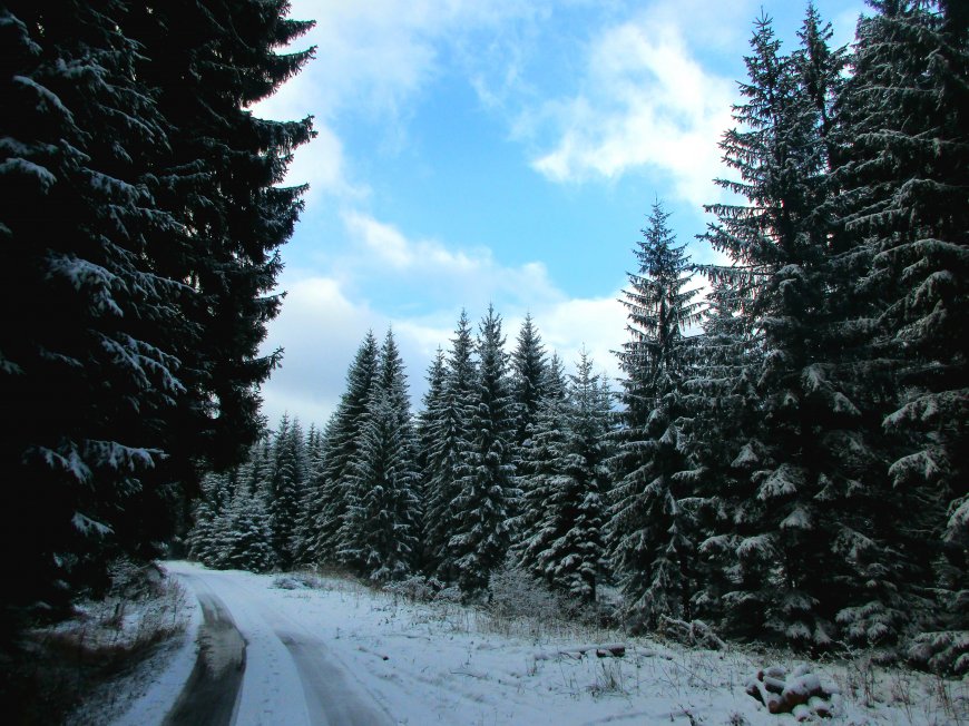 雪中道路山林自然风景壁纸