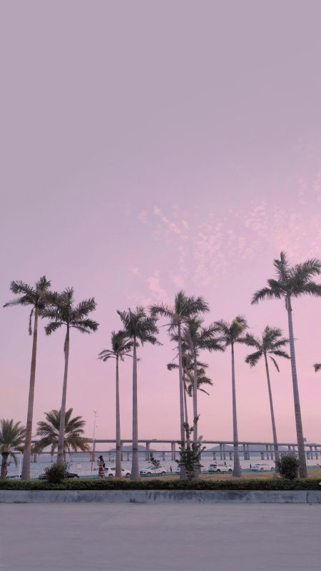 唯美海岸线风景壁纸