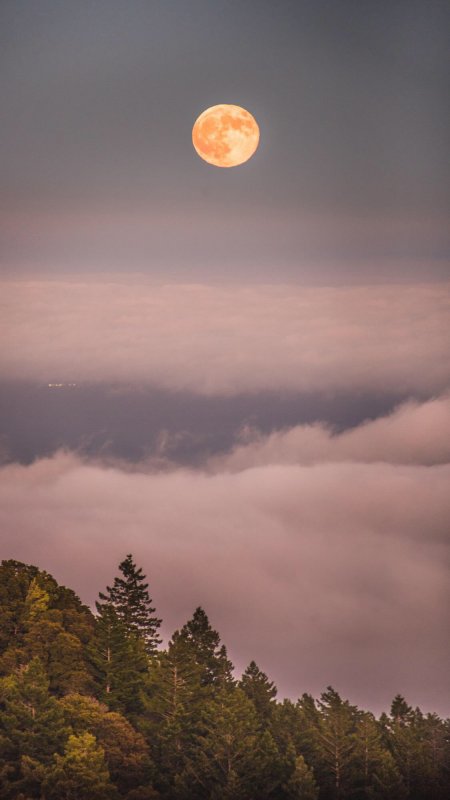 山林 云雾 明月风景图片