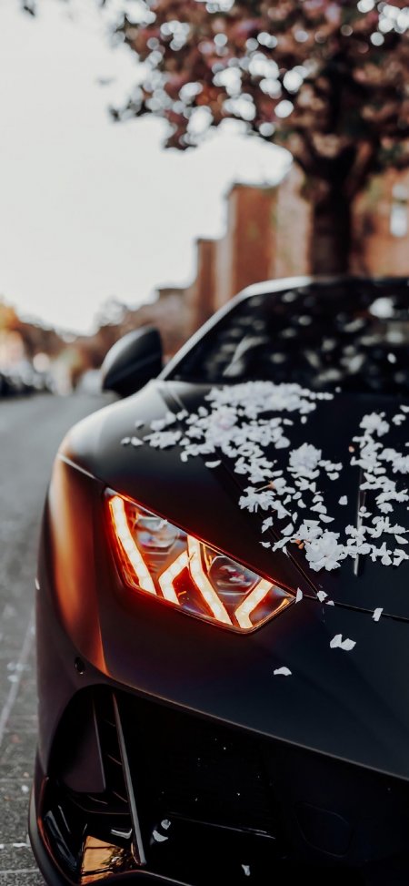 黑色兰博基尼侧写炫酷壁纸