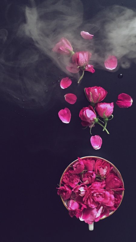 鲜花花瓣静物特写图片