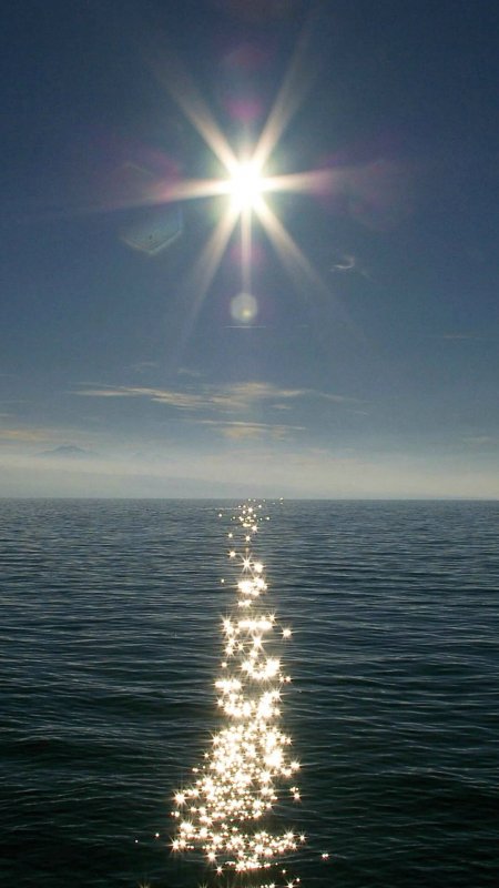 艳阳高照的大海风景图片 