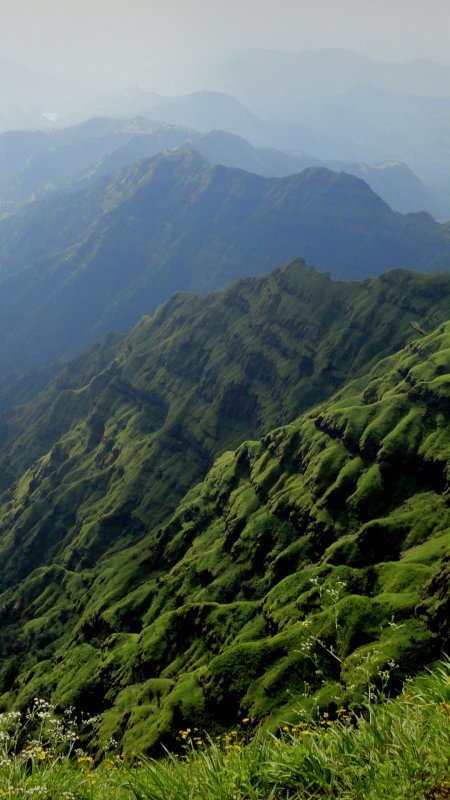 绿油油的山谷风景手机壁纸