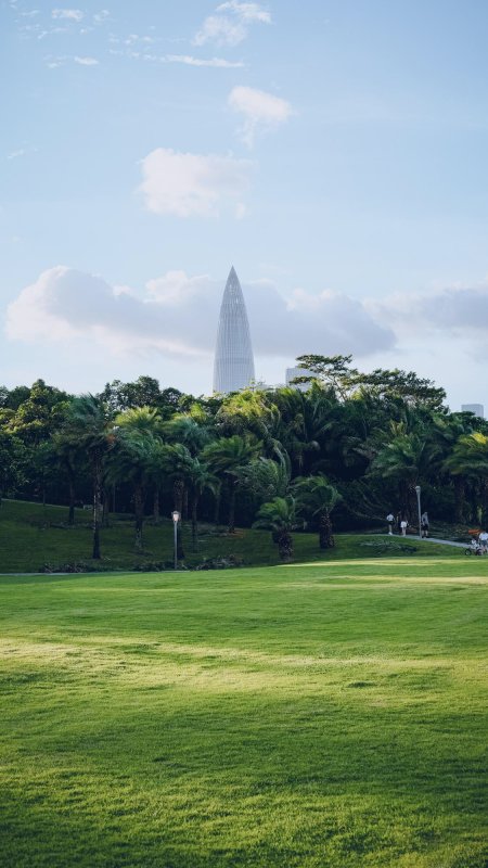 城市公园风景手机壁纸