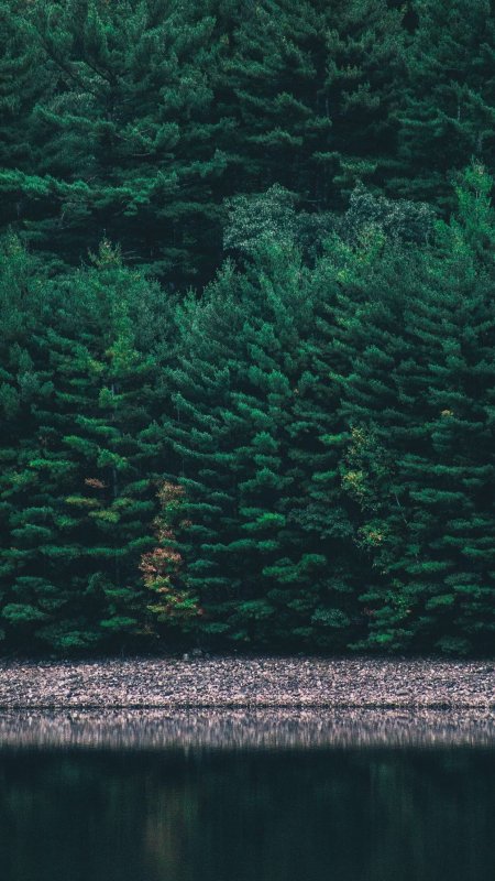 湖泊 山林风景绿色护眼