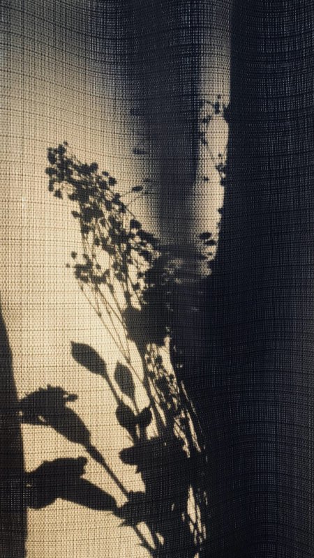 花剪影手机壁纸