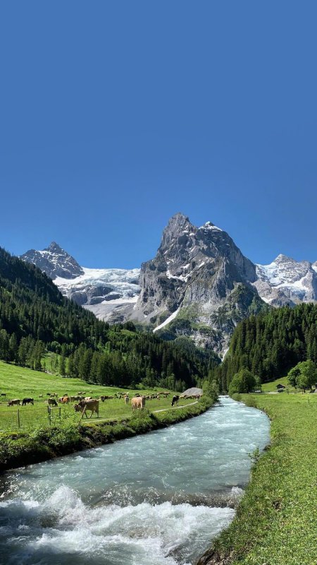 高山河流蓝天风景壁纸