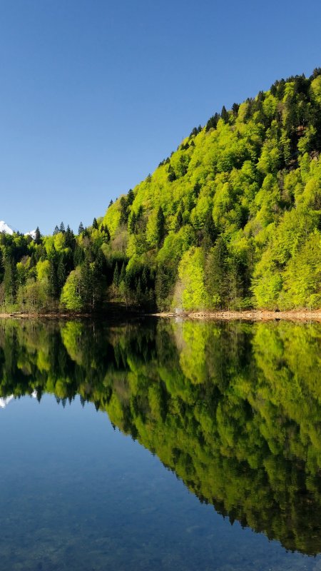 蓝天山林湖泊倒影风景