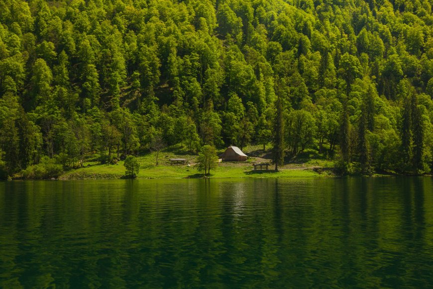绿色森林湖泊风景壁纸