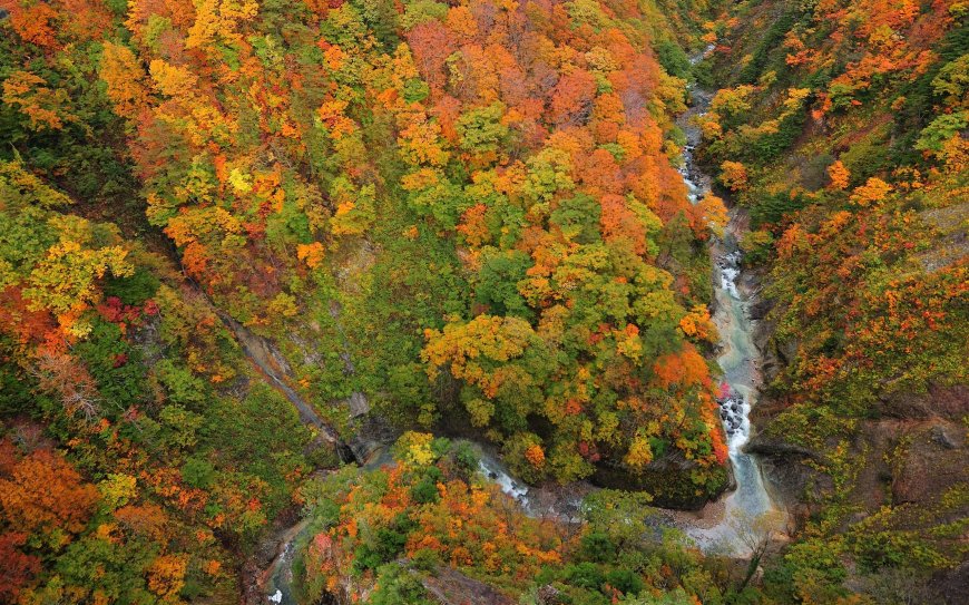 秋季的山谷小河风景壁纸