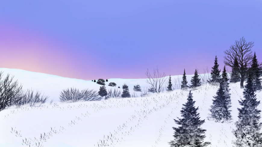 雪地 松树冬季美景壁纸
