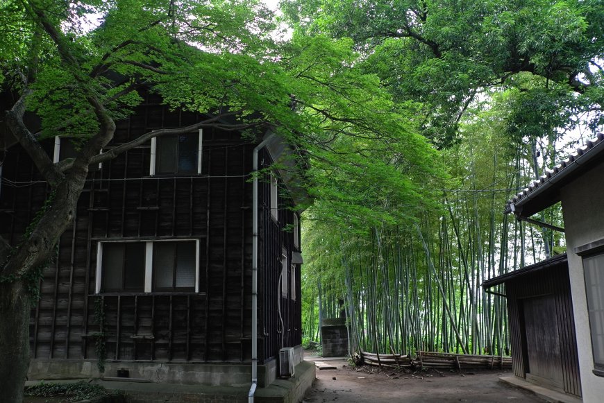 竹林小屋风景图片壁纸