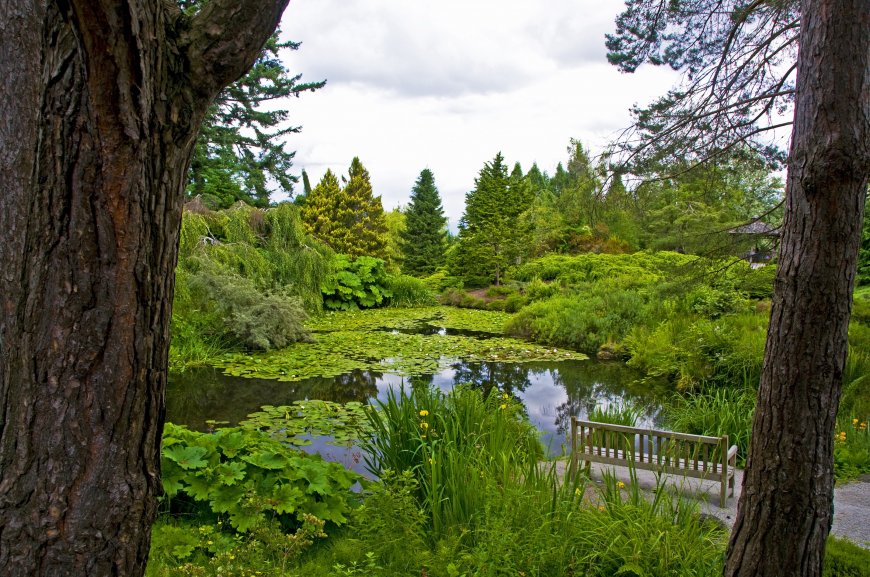 庄园池塘 绿林风景图片壁纸