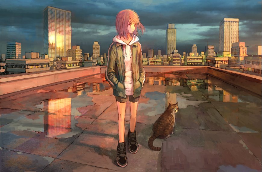 女孩 城市 猫咪壁纸