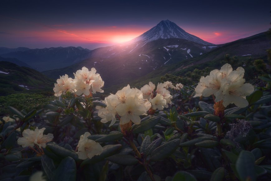 杜鹃花山 日出早晨壁纸