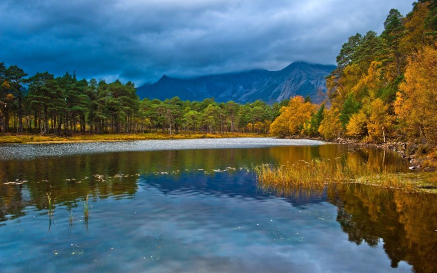 苏格兰,湖,森林,景观,秋季壁纸