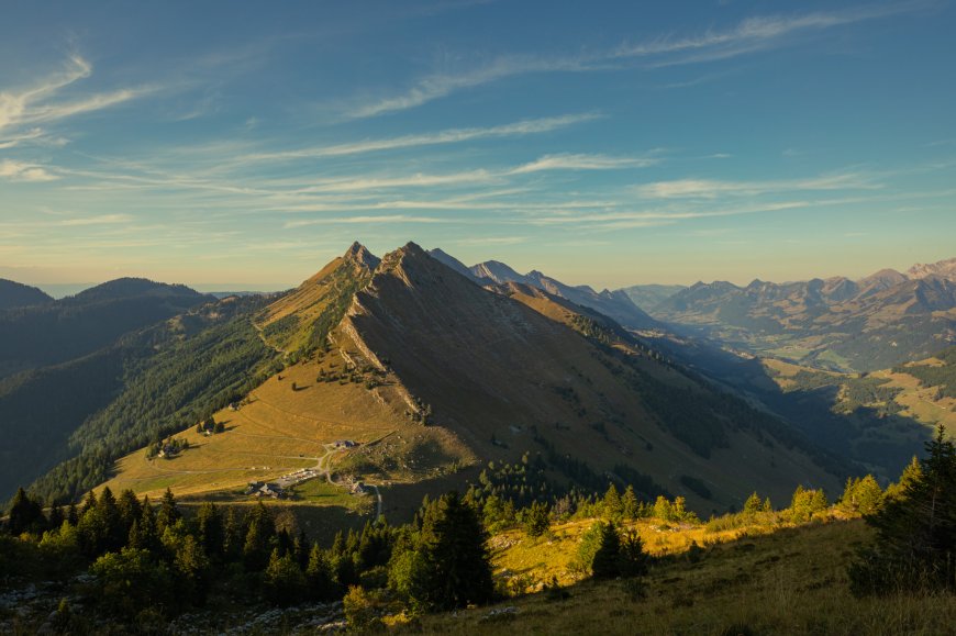 摄影户外-瑞士-阿尔卑斯山树木-森林-景观壁纸