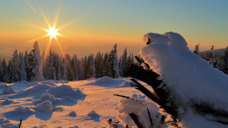 雪-自然-太阳-光线-森林-无声-树木风景4k壁纸