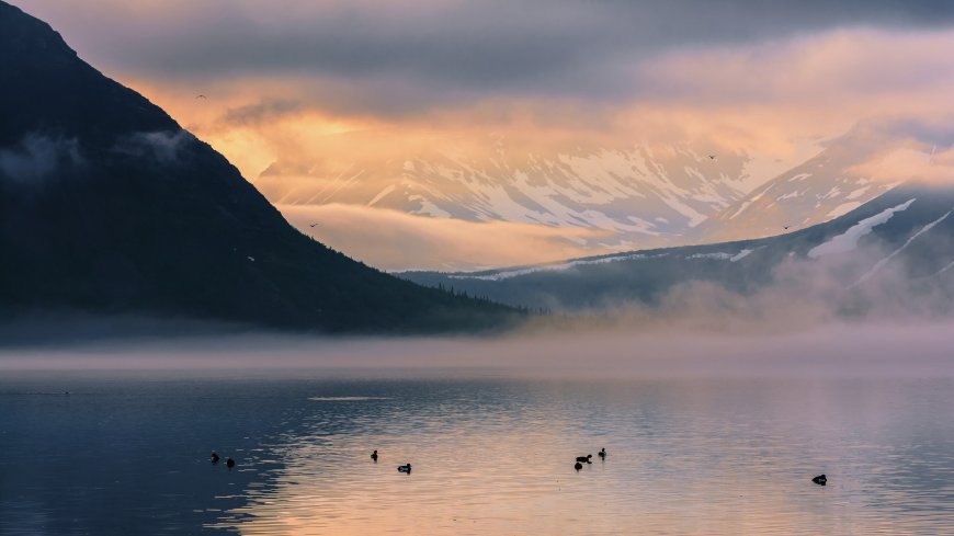 自然景观 湖-鸭子动物 薄雾--天空 壁纸