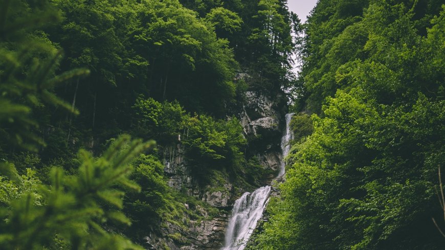 自然-森林-瀑布风景壁纸