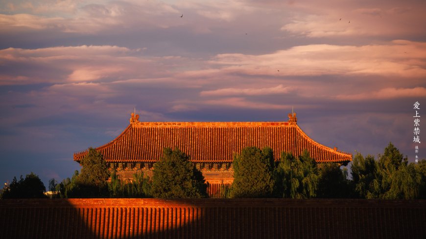 爱上紫禁城 金黄屋顶